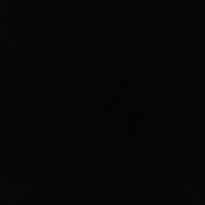 Meet your Posher, Hector